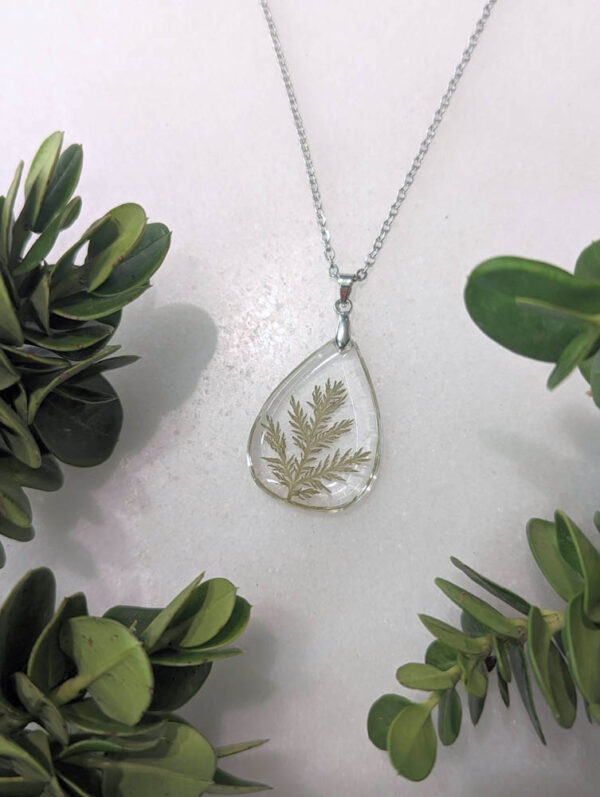 a frameless clear teardrop necklace with a real cedar foliage inside